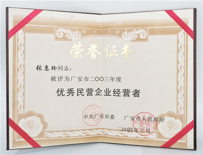 优秀民营企业经营者