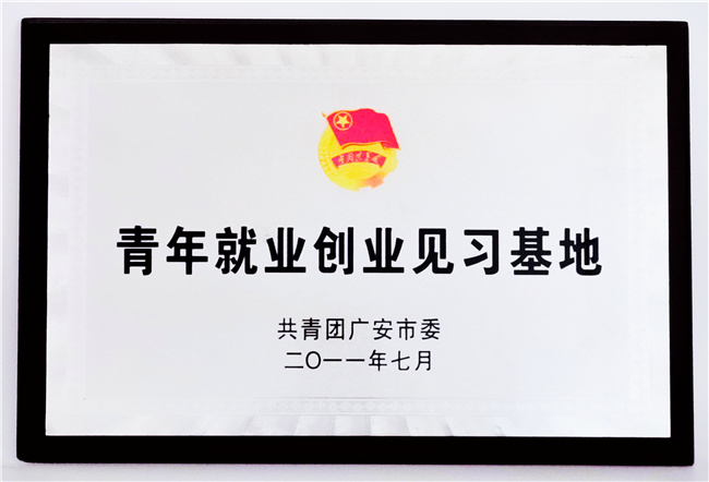 青年就业创业见习基地