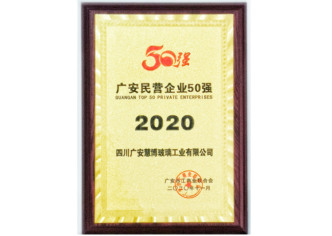 广安民营企业50强