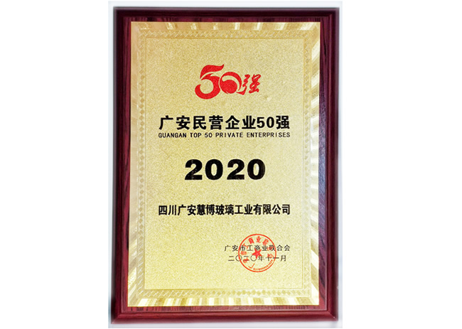 广安民营企业50强