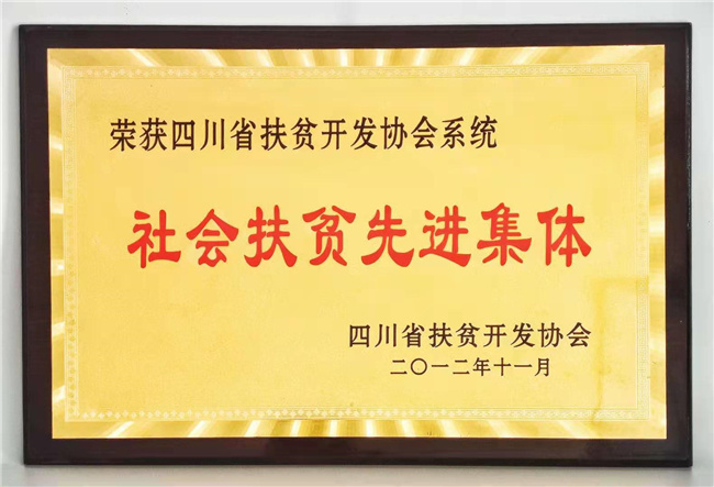 社会扶贫先进集体