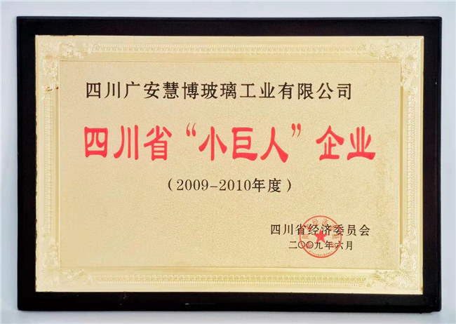 四川省小巨人企业