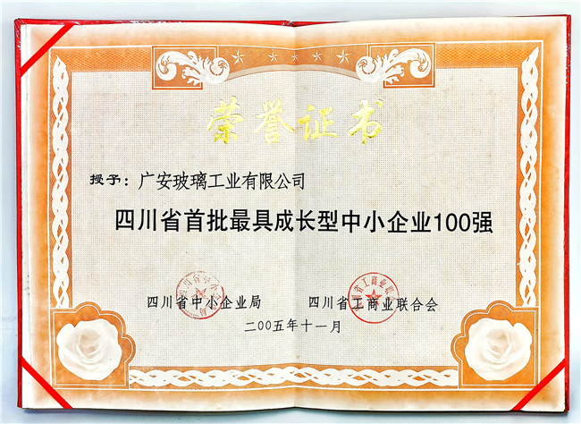 最具成长型中小企业100强